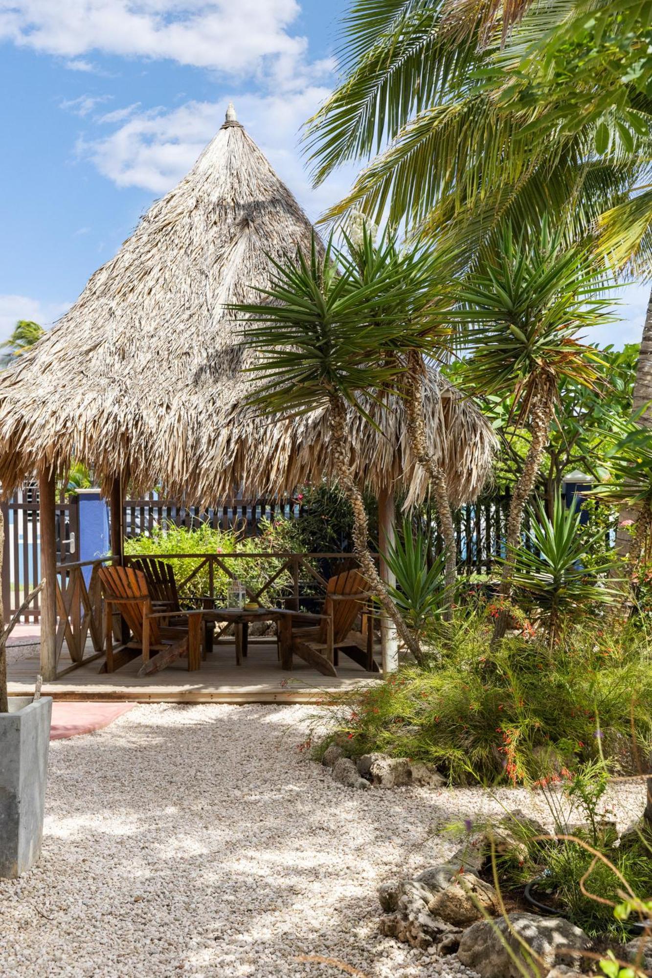 Blachi Koko Apartments Kralendijk na wyspie Bonaire Zewnętrze zdjęcie