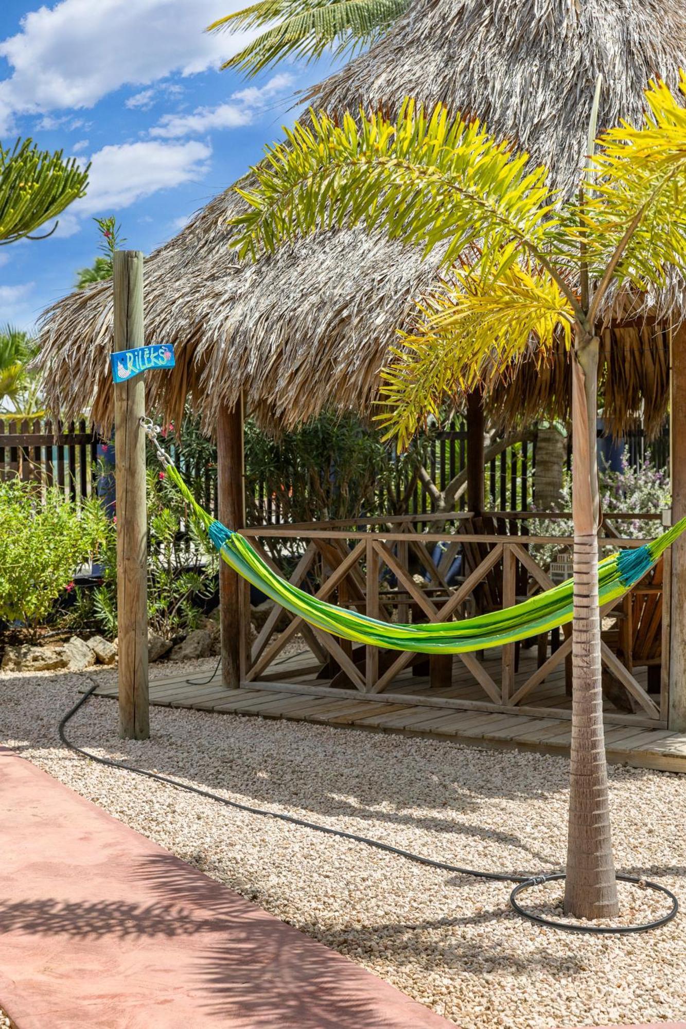 Blachi Koko Apartments Kralendijk na wyspie Bonaire Zewnętrze zdjęcie