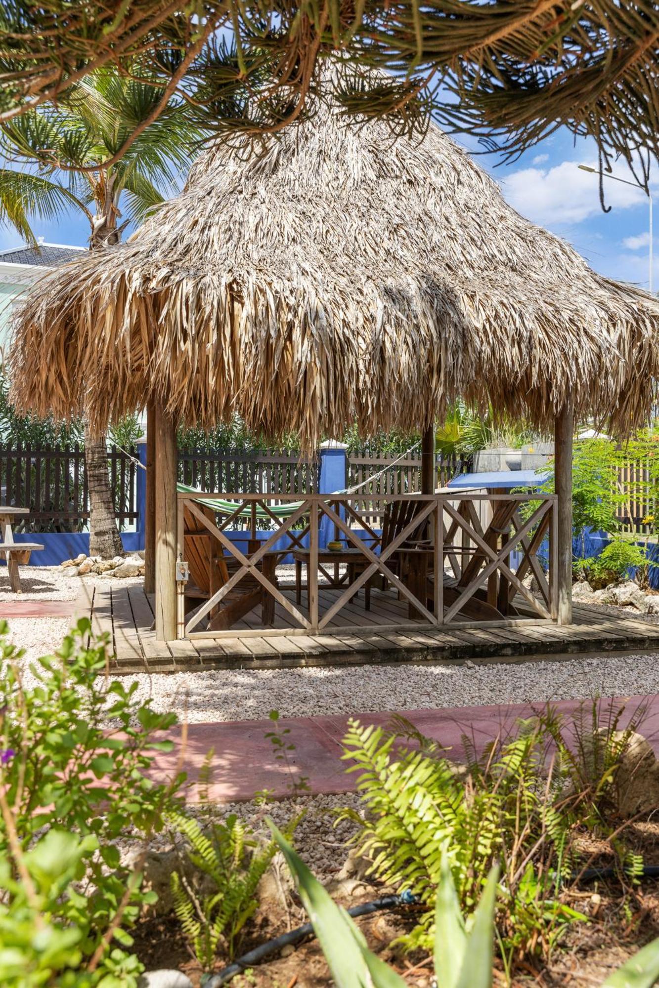 Blachi Koko Apartments Kralendijk na wyspie Bonaire Zewnętrze zdjęcie