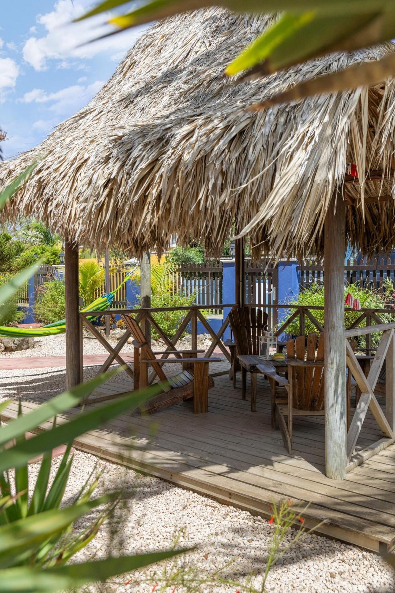 Blachi Koko Apartments Kralendijk na wyspie Bonaire Zewnętrze zdjęcie