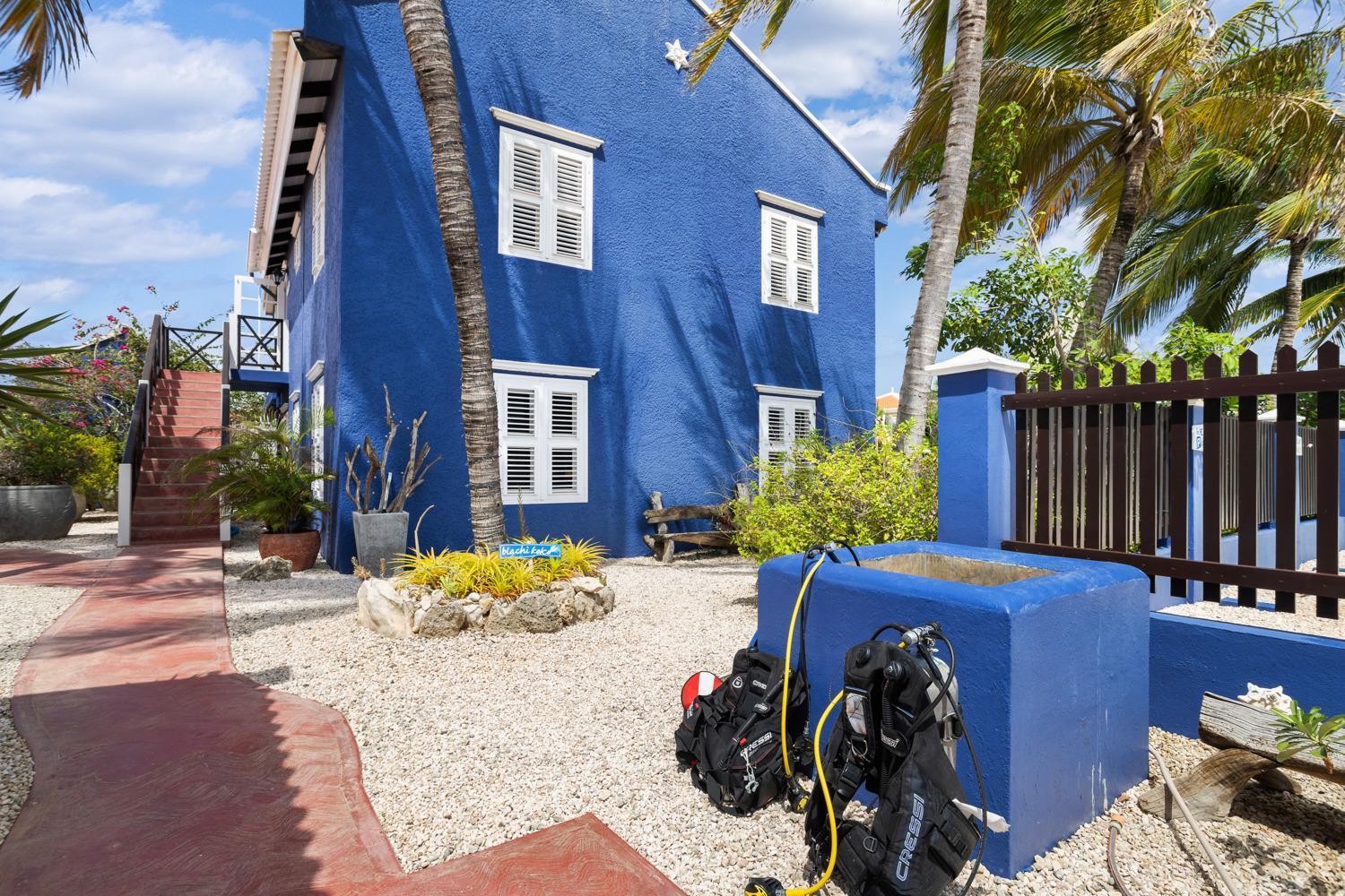 Blachi Koko Apartments Kralendijk na wyspie Bonaire Zewnętrze zdjęcie